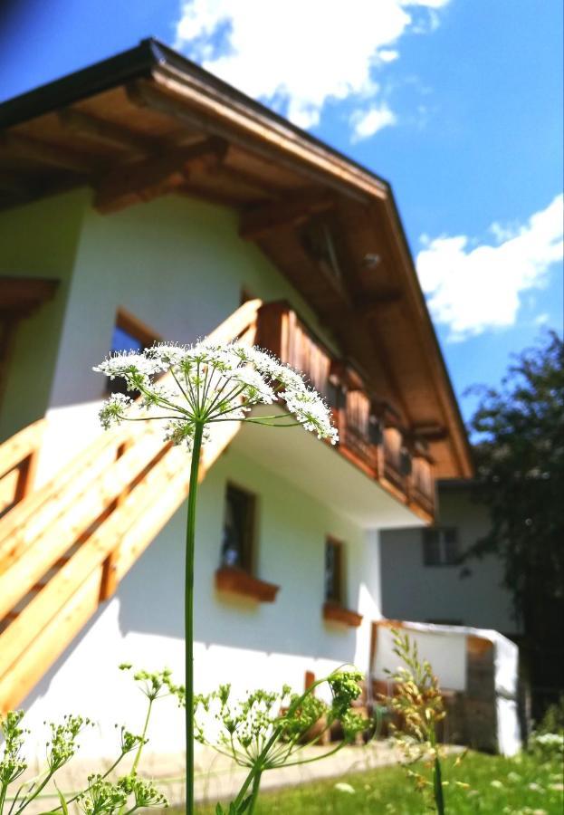 Ferienwohnung Auenheim Innervillgraten Exterior photo